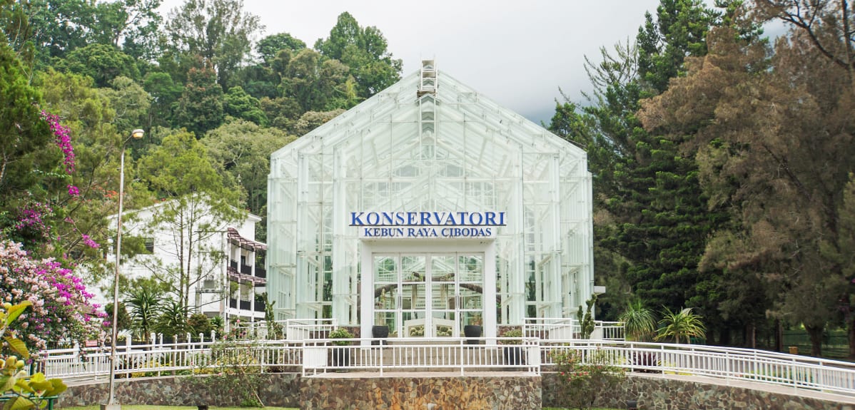 Kebun Raya Cibodas
